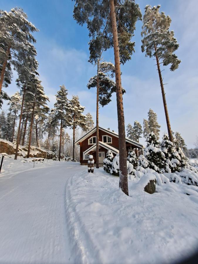 Tahko Hills Villa Екстериор снимка